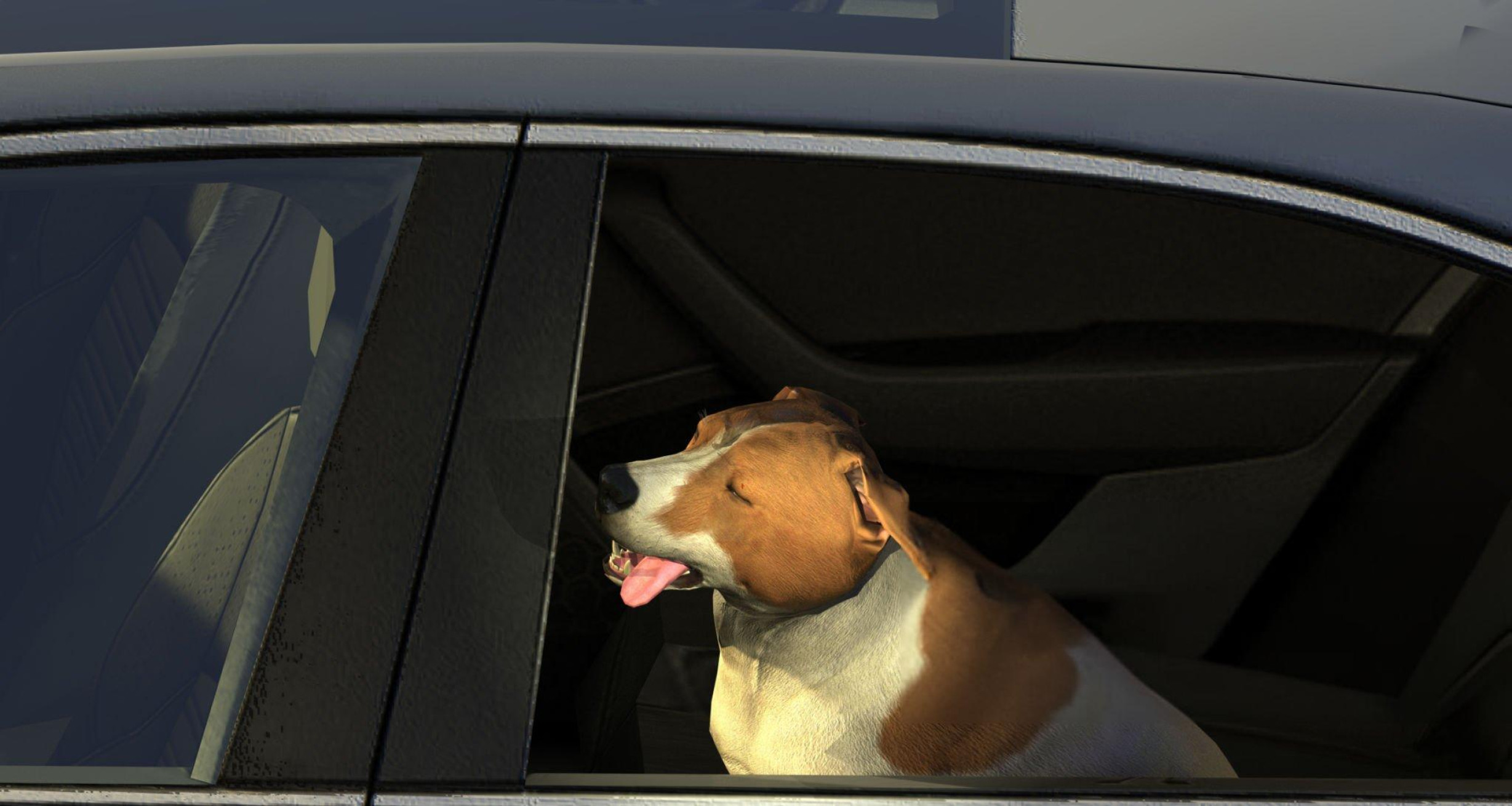 Pet Friendly Chauffeur Services Dublin